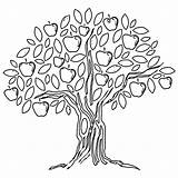 Coloring Tree Apple Pages Fruit Colouring Book sketch template