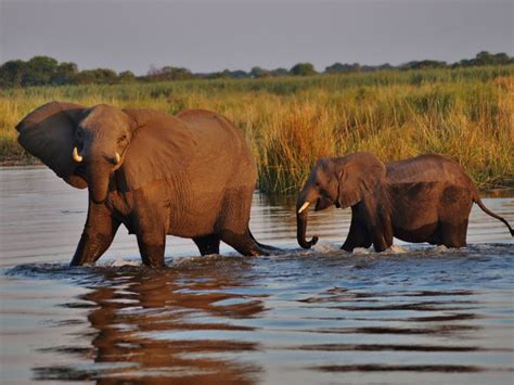 Top 7 Most Beautiful Places To Travel In Botswana Africa