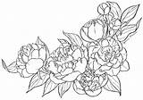 Peony Flower Drawing Coloring Line Peonies Tattoo Lineart Cyen Flowers Outline Chrysanthemum Deviantart Vintage Pages Drawings Template Printable Blume Peonia sketch template