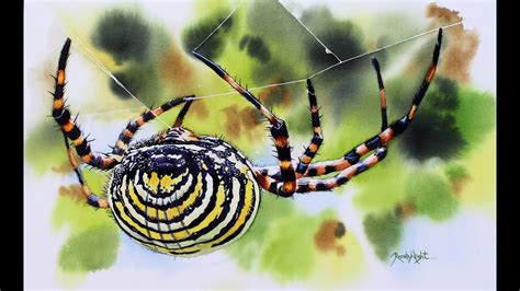 spider art exhibition youtube