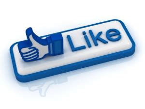 facebook page likes    business business