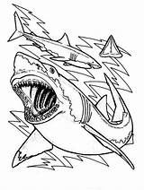 Shark Coloring Pages Sharks Great Printable Color Teeth Megalodon Drawing Sheet Bulls Chicago Kids Outline Anatomy Cute Clark Print Sheets sketch template