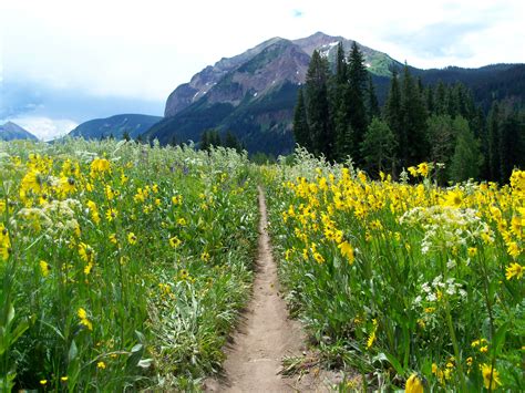 riding    nations  mountain bike trails trail