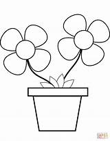 Maceta Macetas Ghiveci Colorat Jarro Desene Planse Supercoloring Druku Kwiat Flori Rysunek Obraz Ghivece Pintadas sketch template