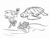 Bestcoloringpagesforkids Animales Tortugas Tucker sketch template