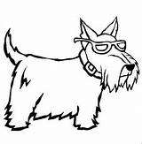 Coloring Pages Cairn Terrier Getcolorings Puppy Dog sketch template