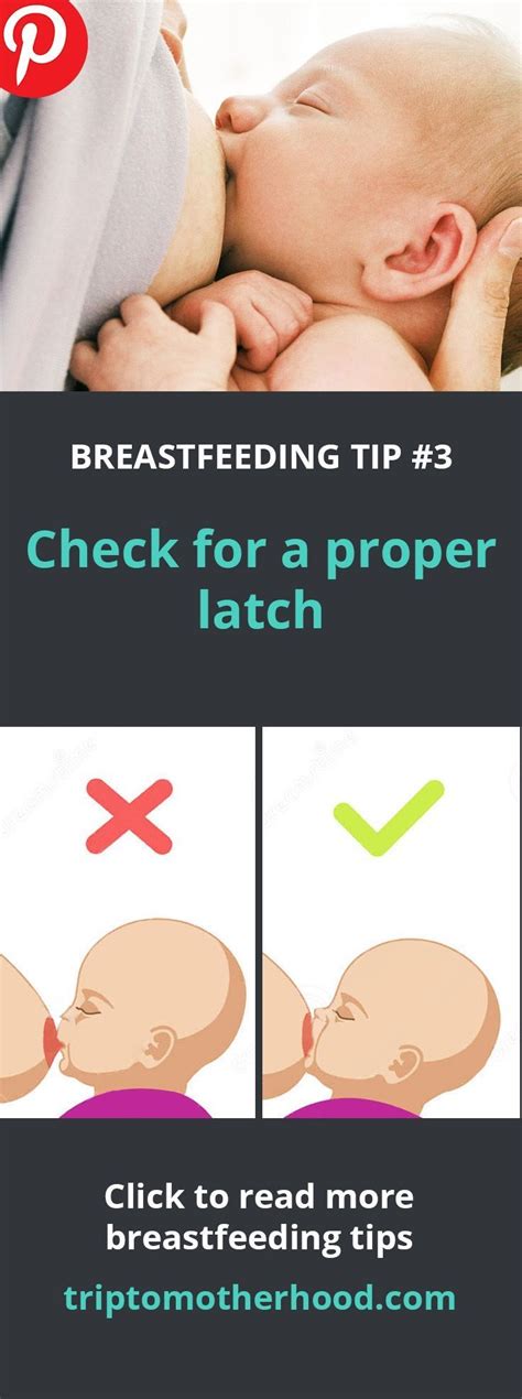 breastfeeding tip  check   proper latch wrong latching    main reason
