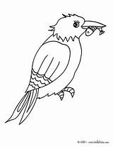 Kingfisher Coloring Common Martin Pages Bird Un Oiseau Designlooter Colorier Oiseaux Pecheur Hellokids Results 42kb 470px Choisir Tableau sketch template