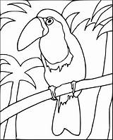 Toucan Coloringbay sketch template