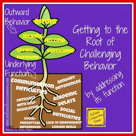 root  challenging behavior  addressing  function