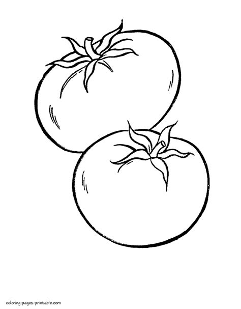 tomatoes preschool coloring book coloring pages printablecom