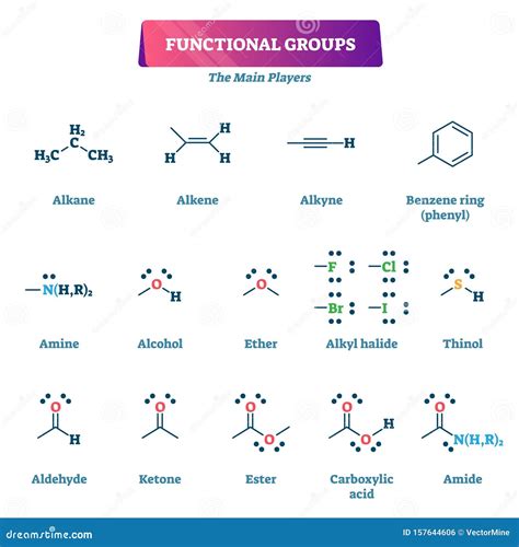 functional groups stock illustrations  functional groups stock illustrations vectors