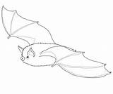 Fledermaus Vleermuis Kleurplaat Basteln Ausmalbild sketch template