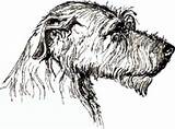 Wolfhound Irish Clipart Silhouette Head Coloring Sketch Clipground Book Color Hound Choose Board sketch template