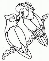 Papugi Kolorowanki Dzieci Papuga Kolorowanka Ptaki Wydrukowania sketch template