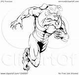 Muscular Upright Bulldog Mascot Running Illustration Clipart Royalty Atstockillustration Vector sketch template