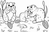Coloring Animal Pages Printable Families Fun 30seconds Everyone Printables Mom Print sketch template