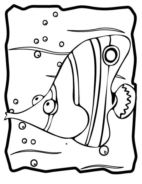 angelfish coloring  animal coloring pages sheets angelfish