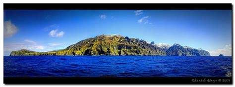 gough island    panorama   entire gough flickr