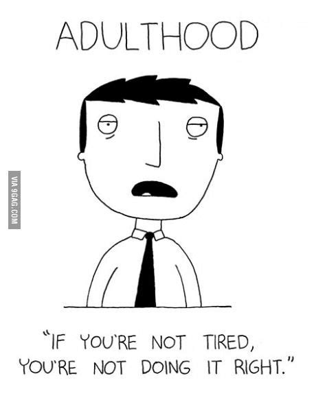 Adulthood Funny Hilarious Funny Pictures