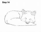Fox Sleeping Draw Step Red Sketch Down Pen Ink Lines Asleep Marker Carefully Permanent Final Any Type Go Over Other sketch template