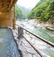 徳島の温泉旅館 に対する画像結果.サイズ: 173 x 185。ソース: www.awanavi.jp
