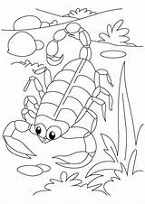 Pages Coloring Scorpion Arthropod Template Kids Animal Crafts Books Choose Board sketch template