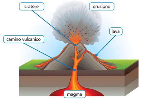 vulcani microlearning