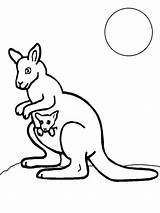 Kangaroo Baby Coloring Pages Call Draw Moonlight Colouring Duty Hat Police Drawing Clipart Color Cliparts Printable Netart Print Library Clip sketch template