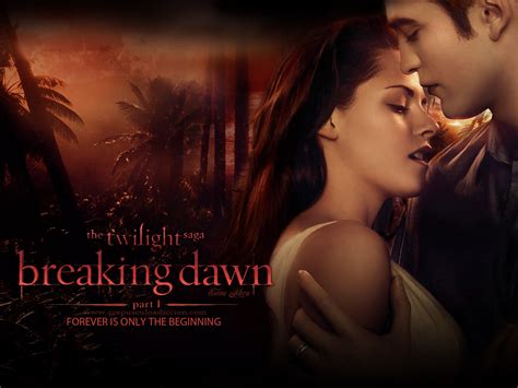 breaking dawn  twilight saga breaking dawn part  wallpaper