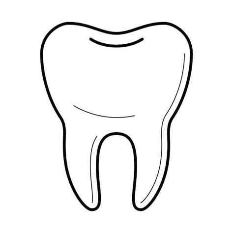 tooth outline illustrations royalty free vector graphics and clip art