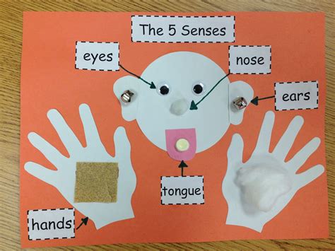 senses craftivity senses preschool  senses preschool