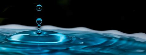 무료 이미지 자연 하락 액체 화이트 물방울 웨이브 꽃잎 젖은 리플 명확한 환경 반사 튀김 신선한 깨끗한 푸른 떨어지는 원기 회복 매크로