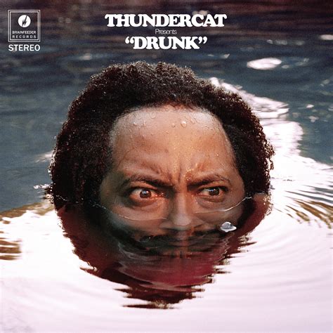 thundercat drunk  review tiny mix tapes