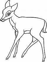 Bambi Faline Colorir Gratuitamente Coloriage Wecoloringpage Stampa sketch template