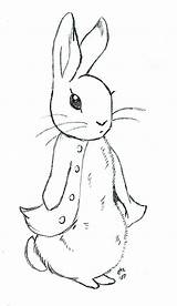 Rabbit Peter Drawing Sketch Drawings Sketches Tattoo Flopsy Bunny Draw Coloring Line Toy Chest Kids Choose Board Deviantart Cute Paintingvalley sketch template
