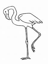 Flamingo Coloring Printable Simple Pages Kids Categories sketch template