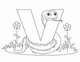 Alphabet Coloring Pages Letter Animal Printable Kids Worksheets Viper Print Letters Traceable Worksheet Preschool Activities Abc Color Bestcoloringpagesforkids Alphabets Fastseoguru sketch template