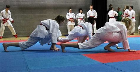 kse open latest information about dokan karate