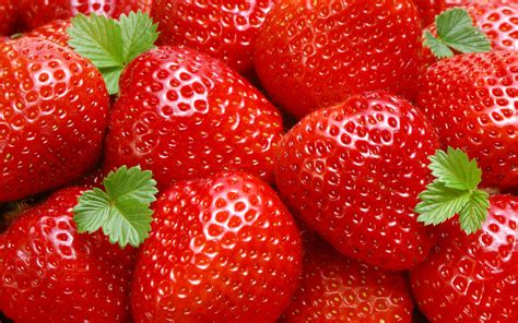 strawberry fruit photo  fanpop