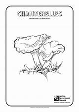 Coloring Pages Mushrooms Cool Chanterelles Kids sketch template