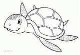 Turtle Turtles Getcolorings sketch template