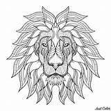 Leones Adultos Lions sketch template