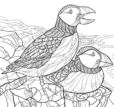 beautiful bird coloring pages https encrypted tbn gstatic  images