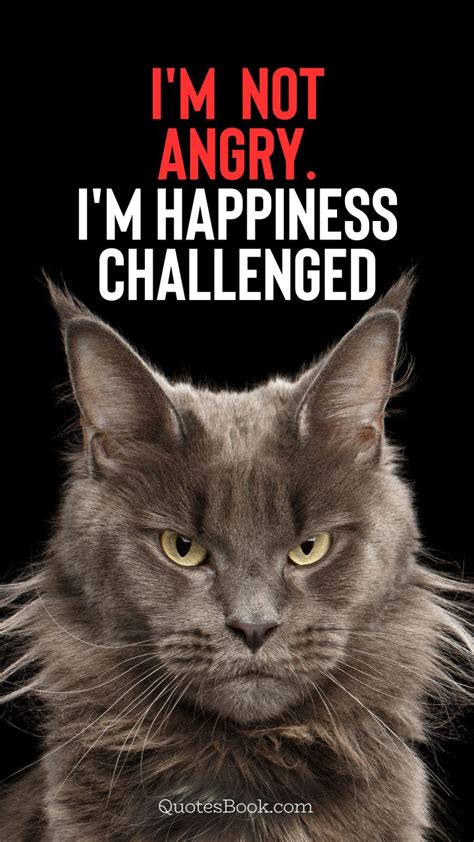 im  angry im happiness challenged quotesbook