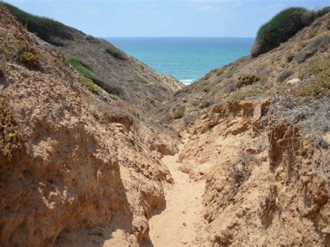 【海外のヌーディストビーチ】中東・イスラエルのガアシュの写真（ガアシュに続く道。 Photo By Sushisandwich81 ）