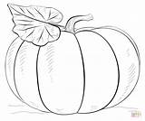 Coloring Pumpkin Pages Pumkin Citrouille sketch template