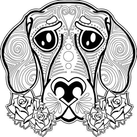 adult coloring pages animals  coloring pages  kids