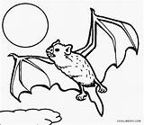 Vampir Fledermaus Vampire Bats Wickedbabesblog sketch template