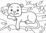 Panther Supercoloring sketch template